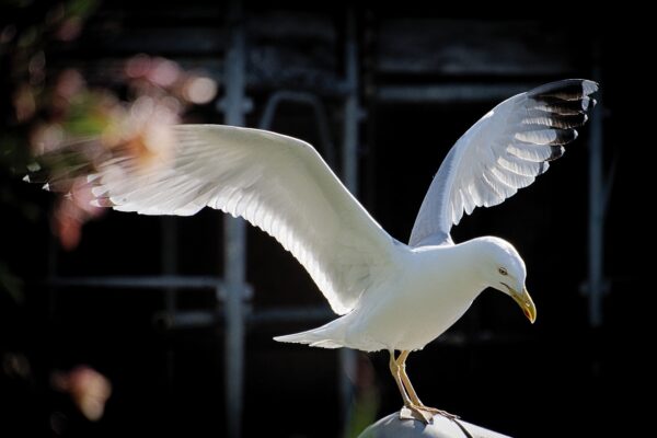 Part 2: The Keys of the Kingdom—Unlocking Heaven’s Authority